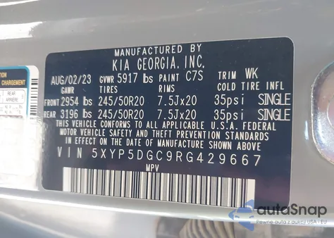 2024 Kia Telluride Sx Prestige X-Line из США, поврежденный, VIN 5XYP5DGC9RG429667